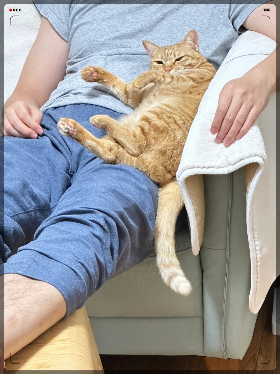 今天的人肉沙发也很舒服  顿子陪看电视,很会挑地方,坐在她爸和沙发