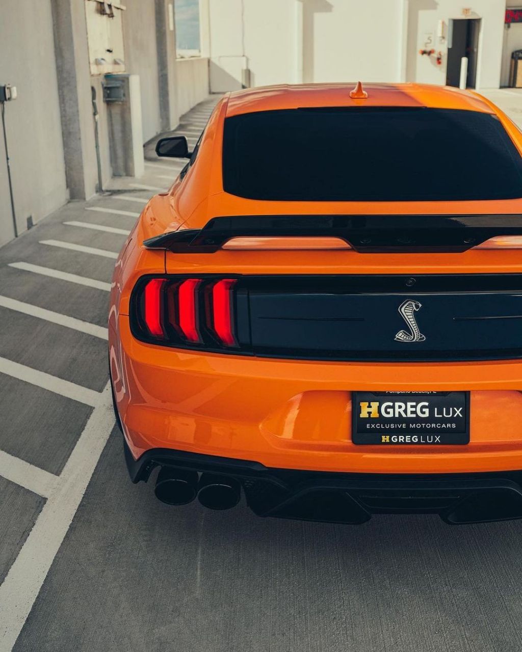 分享图片丨谢尔比-gt500#汽车# #汽车寻# #谢尔比