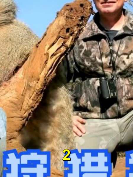 非洲猎人对决复合弓vs猎枪哪种狩猎方式更高效2