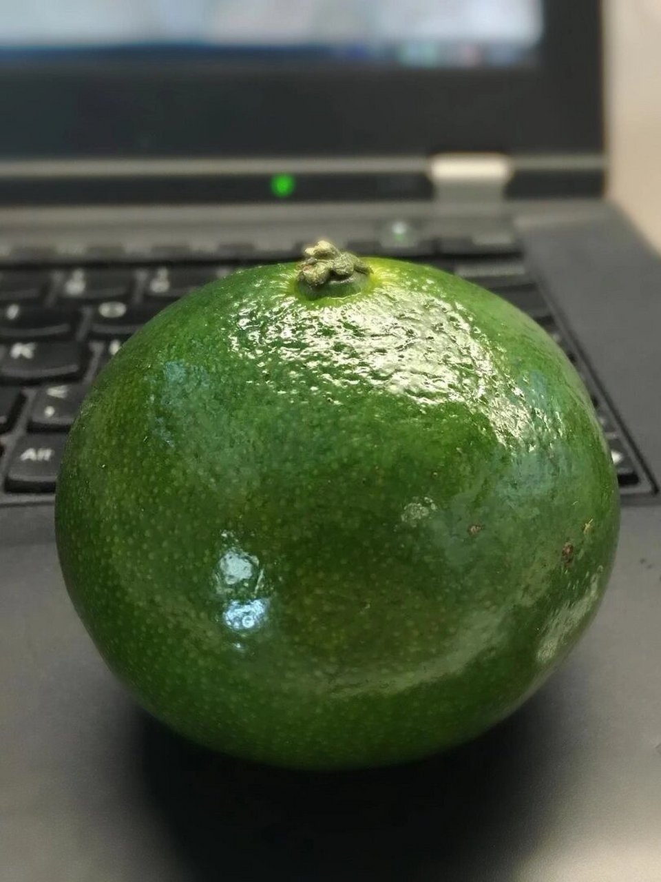 绿色的普通橘子! 从小吃到大!自己觉得挺好吃的,不是很甜带些酸.