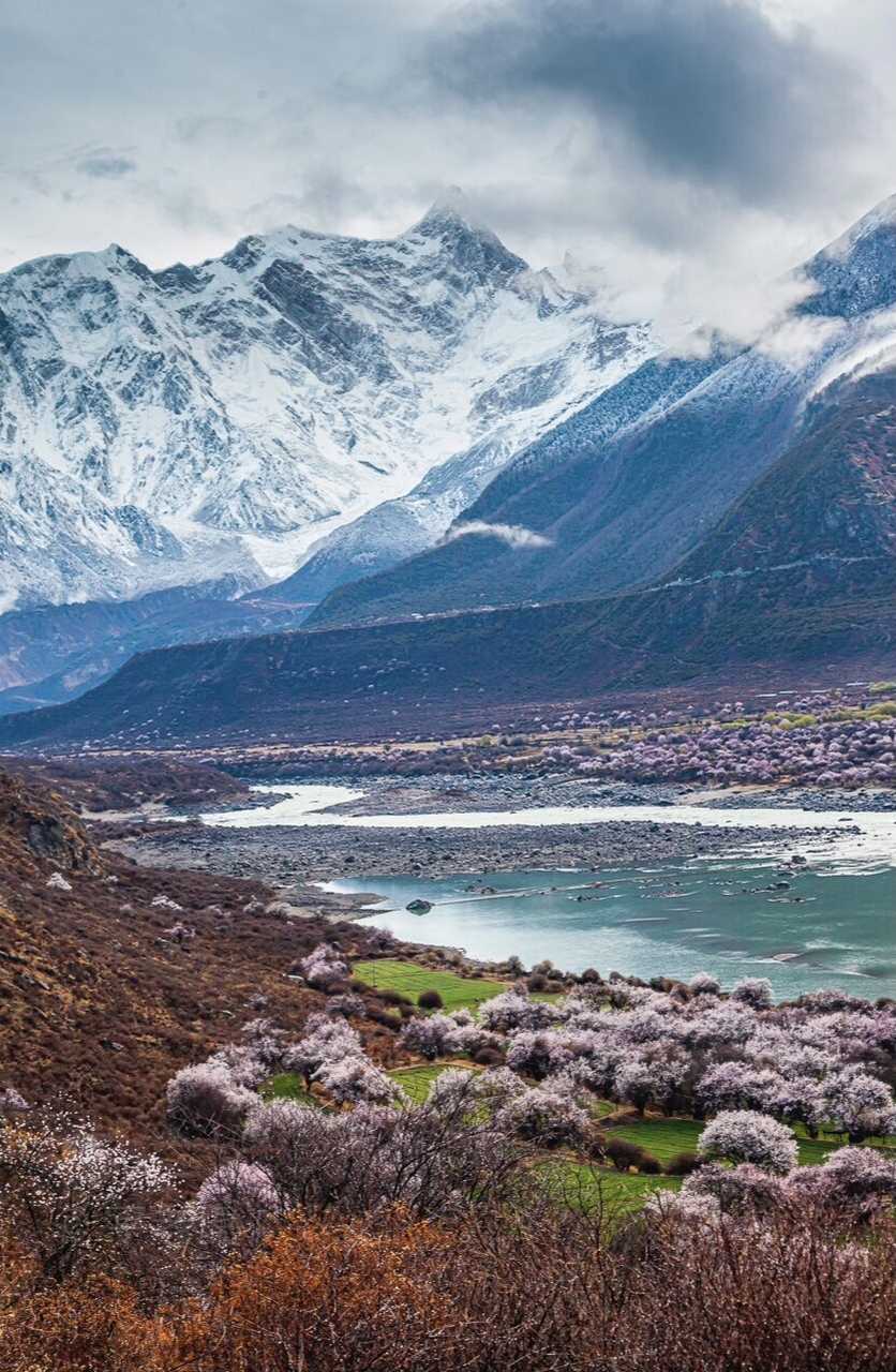 海拔2900-7782米索松村桃花震撼立体 索松村的桃花在西藏所有桃花景色