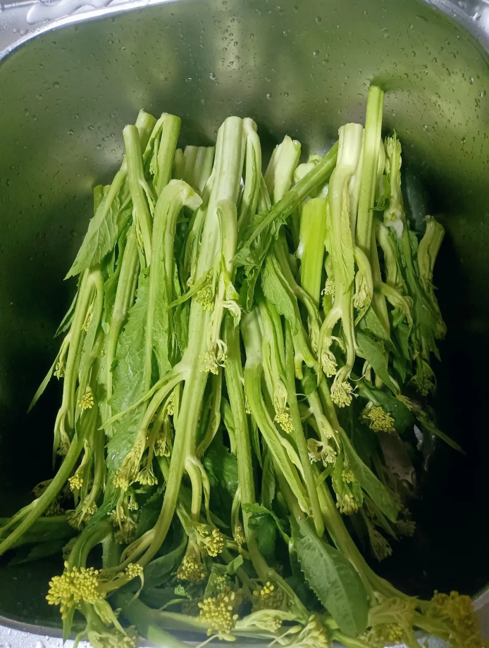 我们这里叫冲菜,能下两碗饭, 一年只有这个季节有.