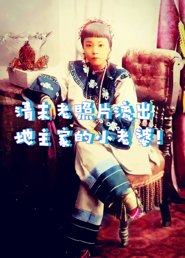 地主家的小娇媳妇