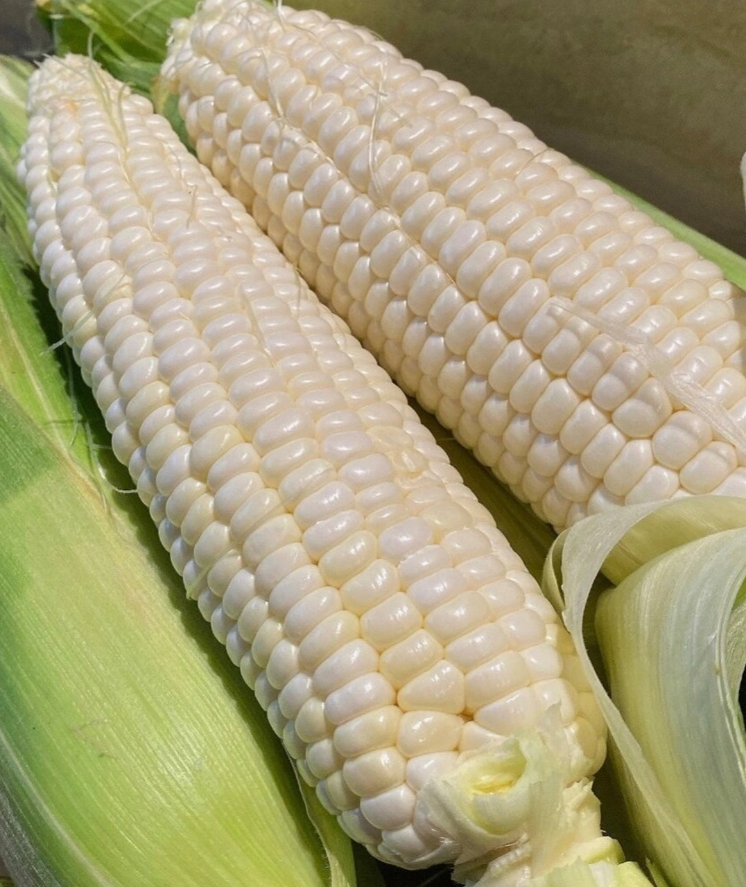 级别的冰糖水果玉米被我找到|||真的超爱这个 纯奶白色的冰糖牛奶玉米