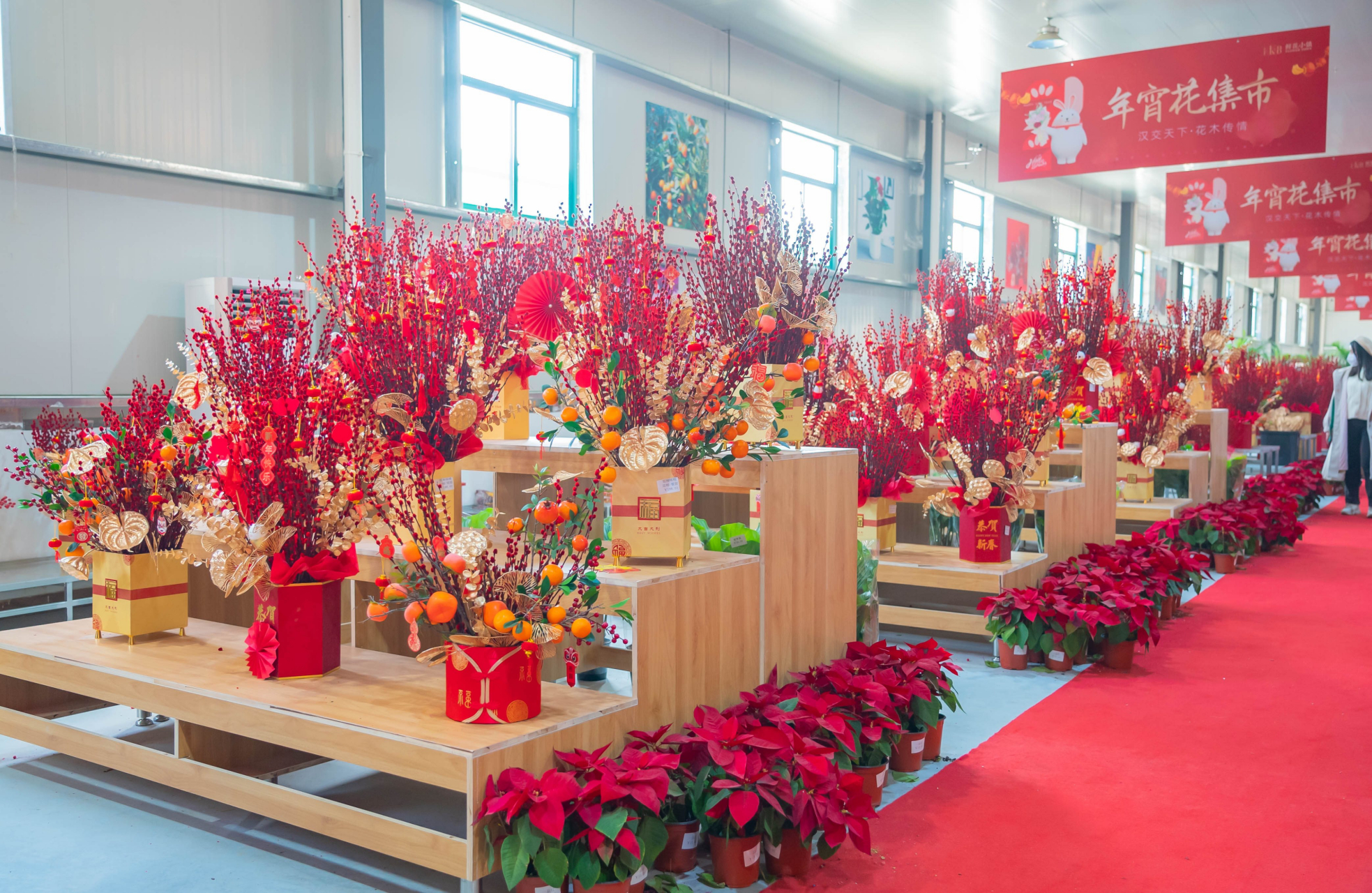 在汉口北鲜花小镇,可以享受视觉和嗅觉的盛宴,体验花的海洋和年宵花