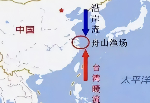 回顾:2022年浙江渔民一网捞出4900斤大黄鱼,卖出957万