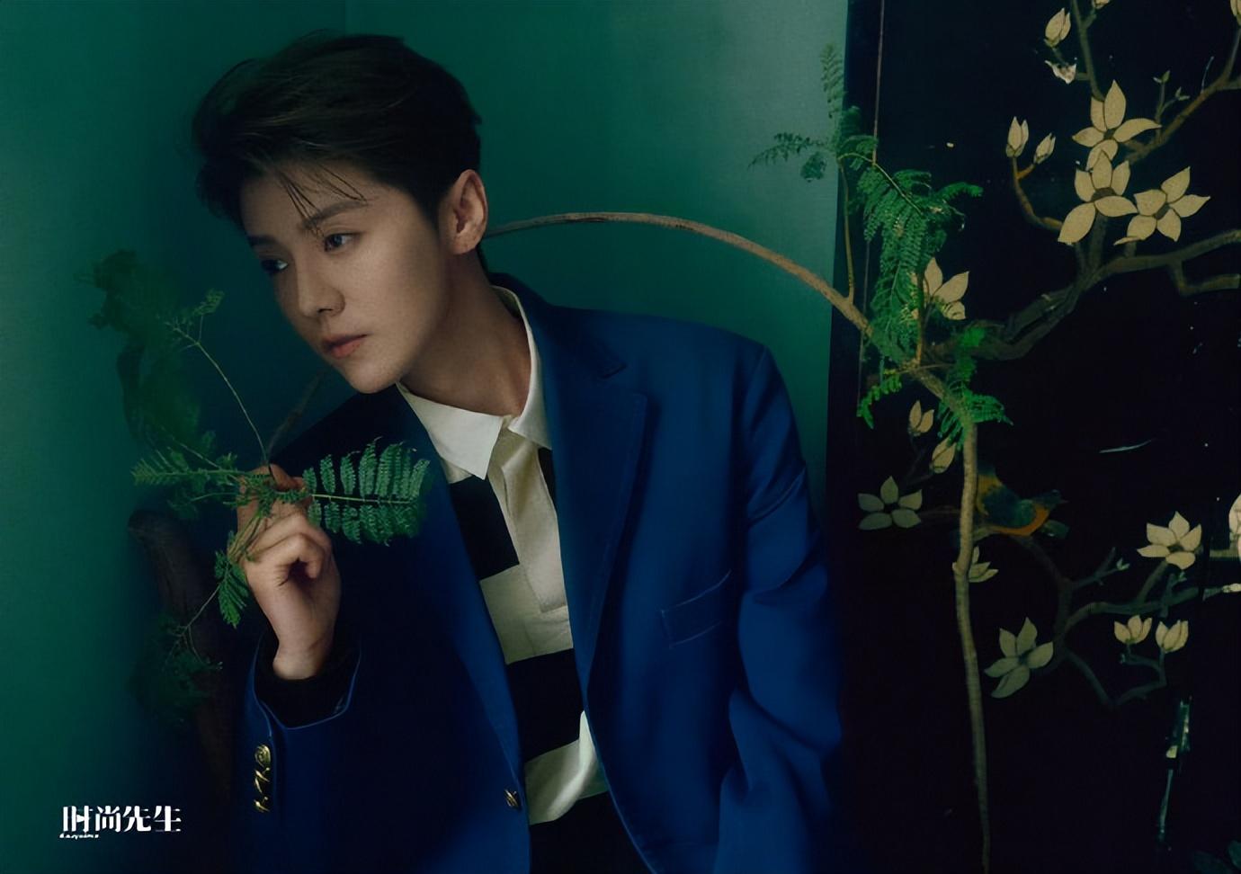 回顾与关晓彤恋爱的鹿晗重新走上顶流之路全靠同行衬托