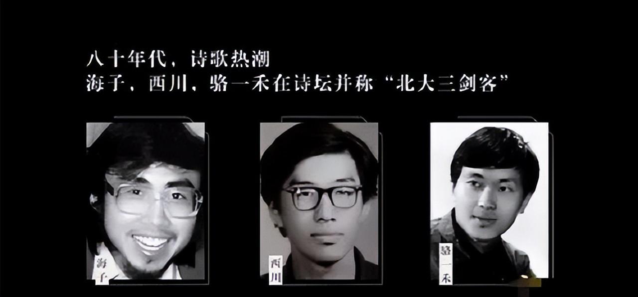 海子到底为什么会选择卧轨自杀?这个问题引发了社会各界人士的猜测.