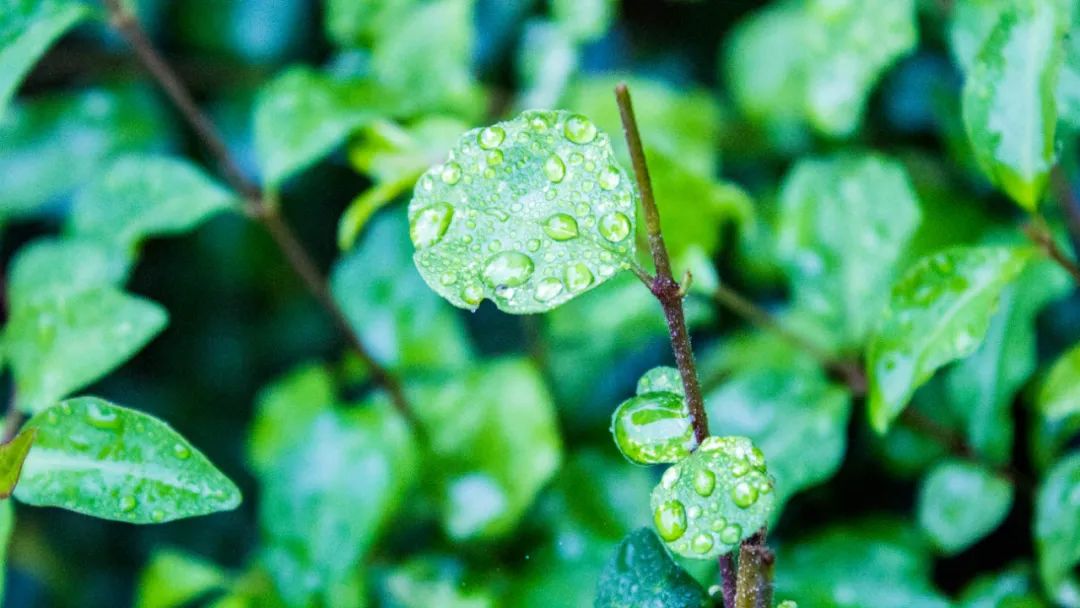 阴天下雨壁纸图片