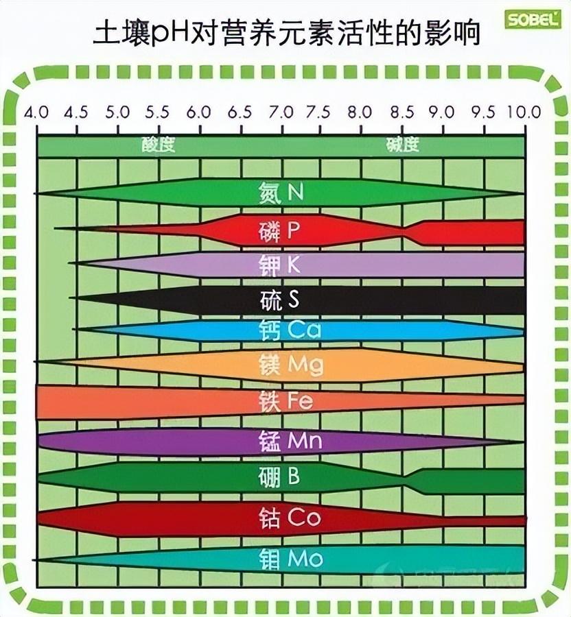 人体微量元素正常值图片