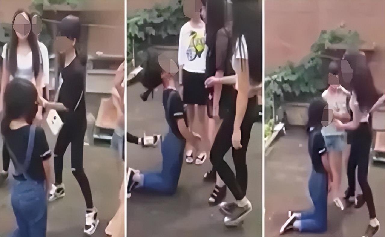 在这里只提出几个典型案例,真实发生的校园霸凌事件远不止这些,在看