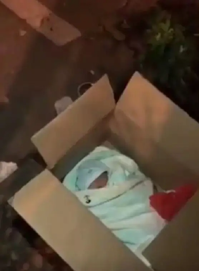 被抛弃的女婴