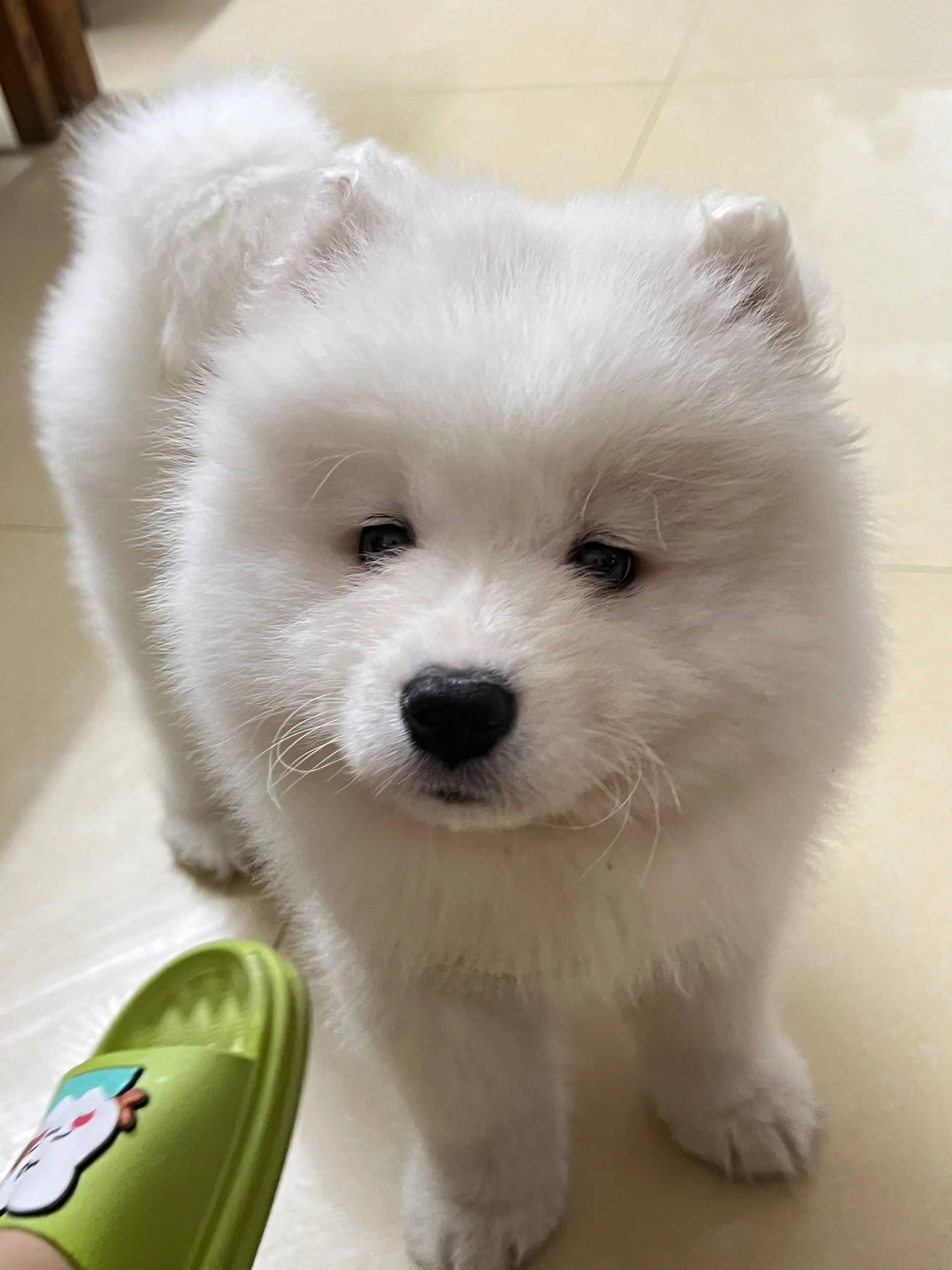 宝宝你生来就不会笑吗  小宝贝,你怎么总是一脸忧愁的样子呢?