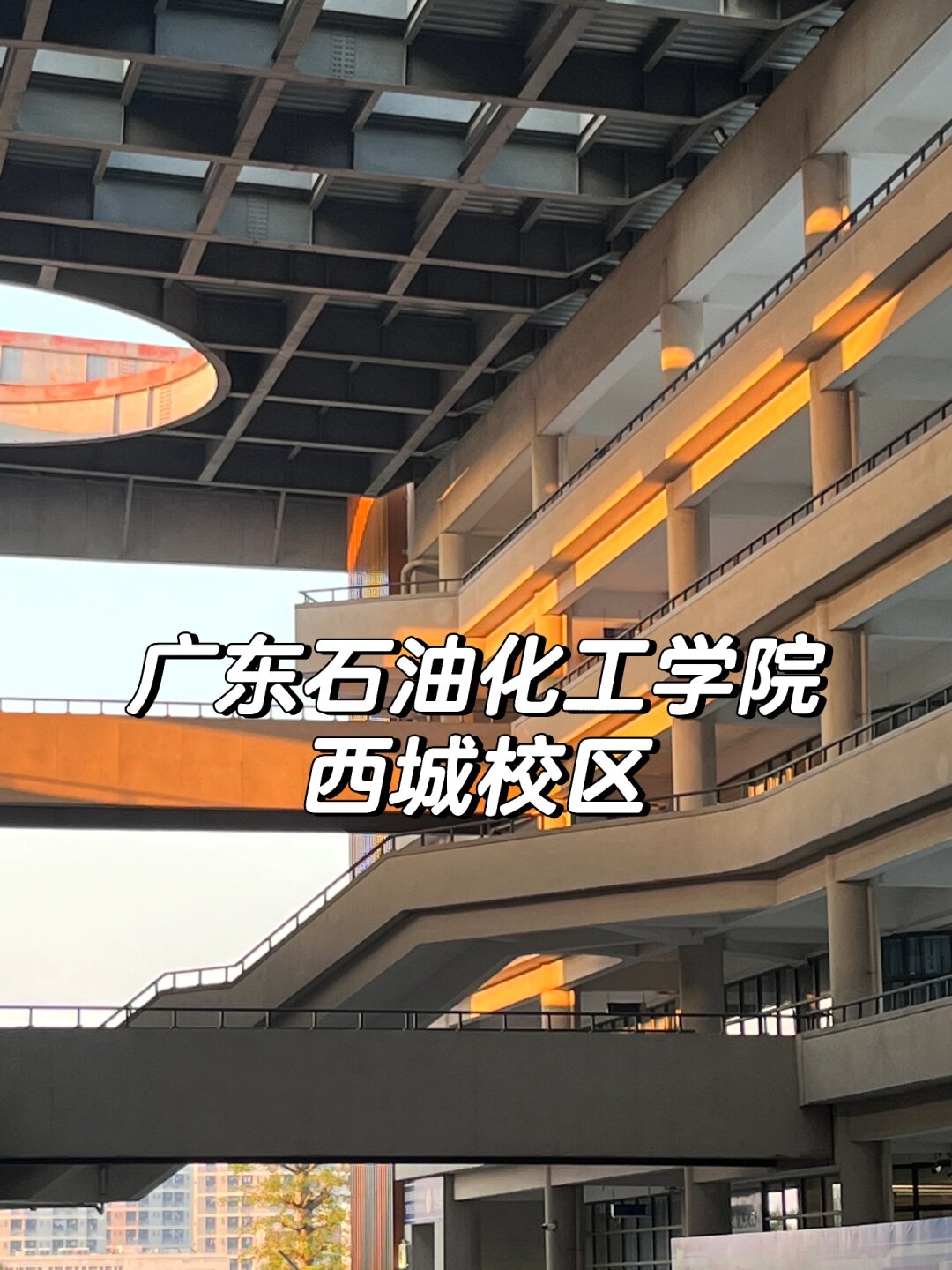 广东石油化工学院地址图片