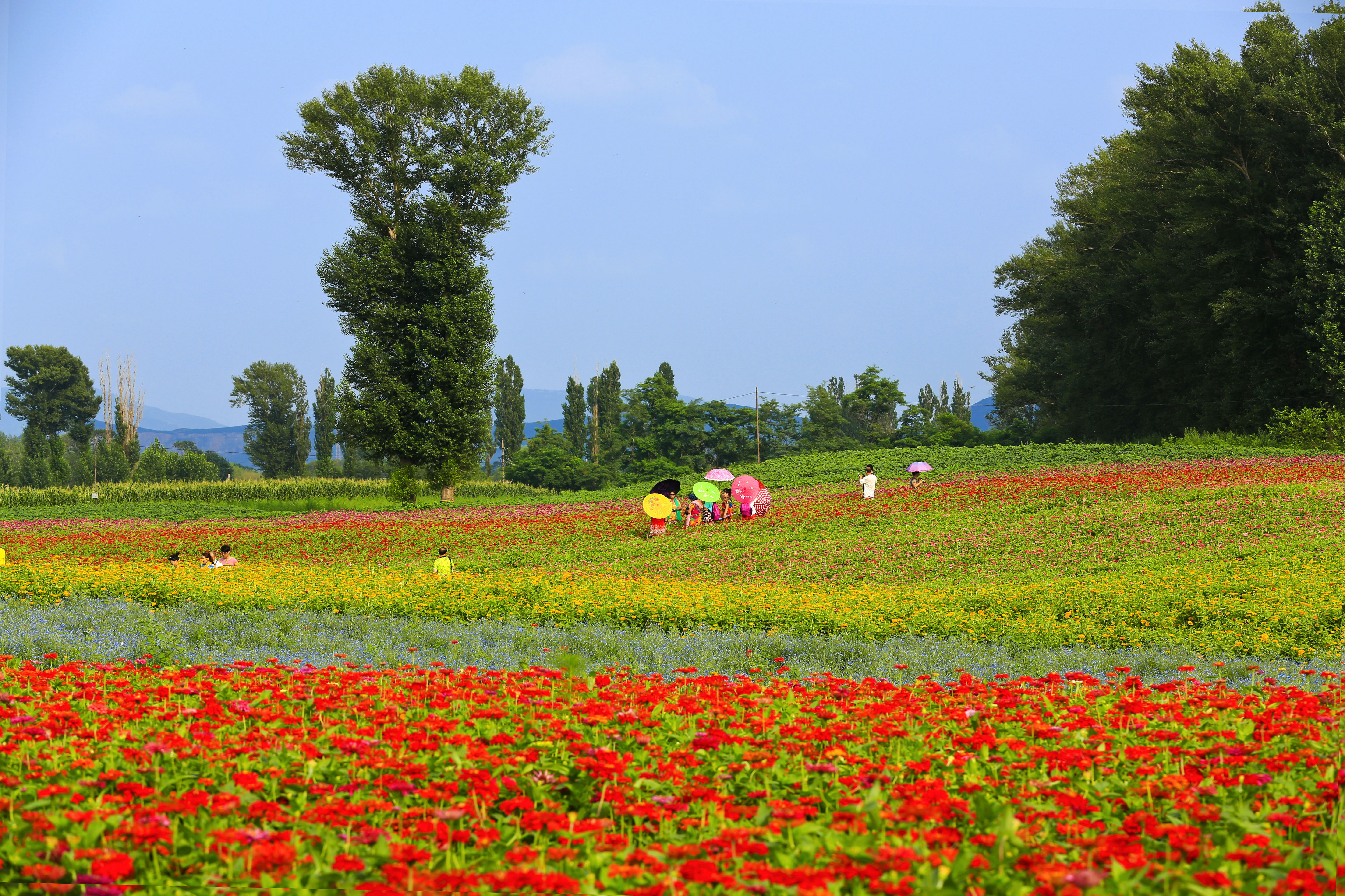 辽阳太子岛景色分享#振兴新突破辽宁杠杠滴# #新时代六地辽宁杠杠滴