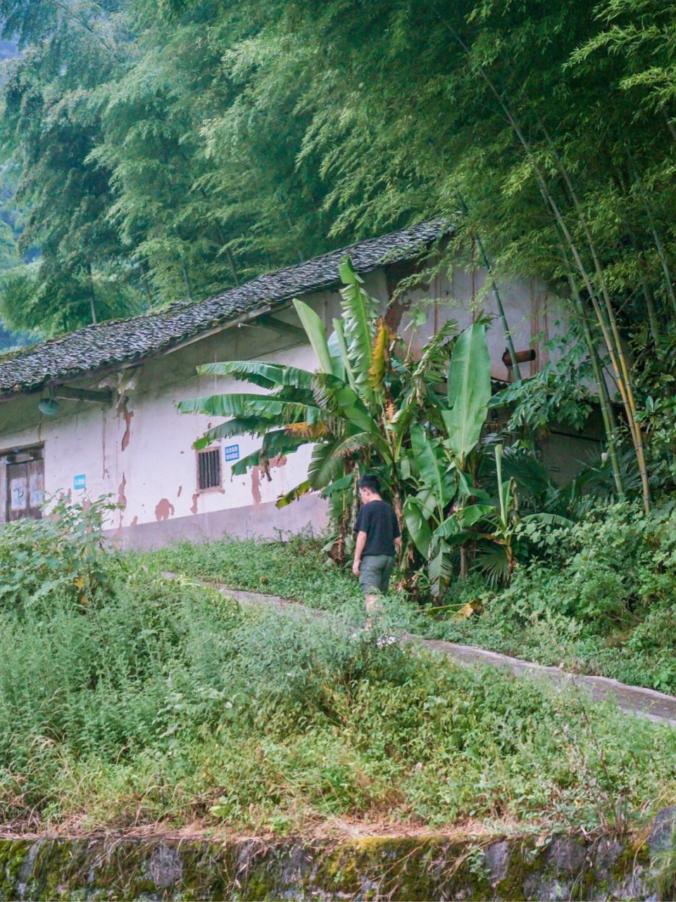 大山深处的神奇古寨,走进重庆双胞胎村  91 在重庆江津区的大山深处