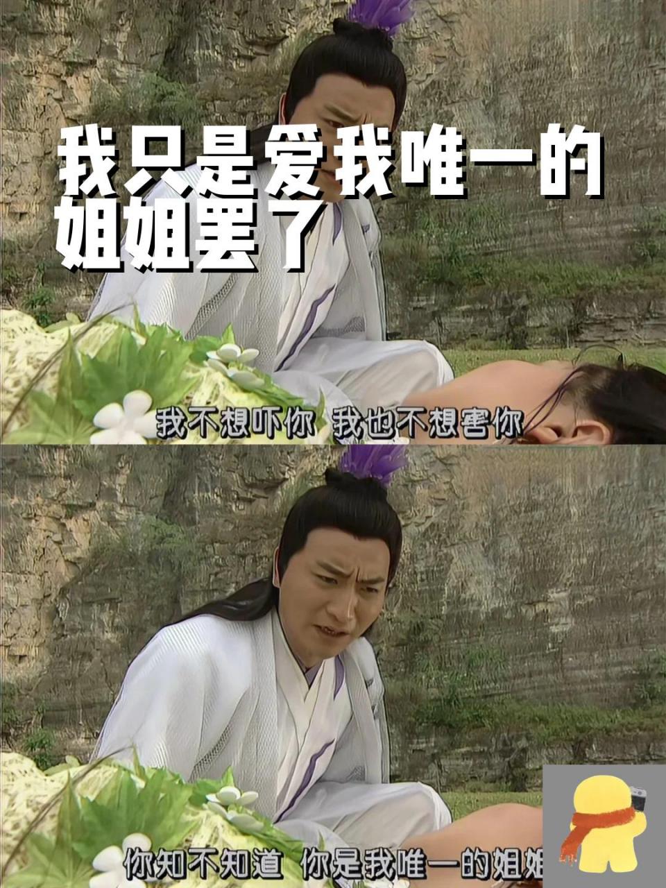 我只是爱我唯一的姐姐罢了 作为剧中的反派人物, 王怜花倒是个十分