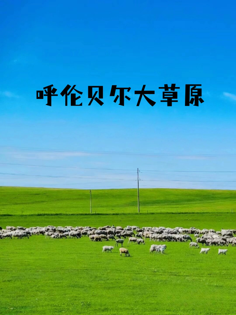 我爱呼伦贝尔大草原=我爱呼伦贝尔大草原作文
