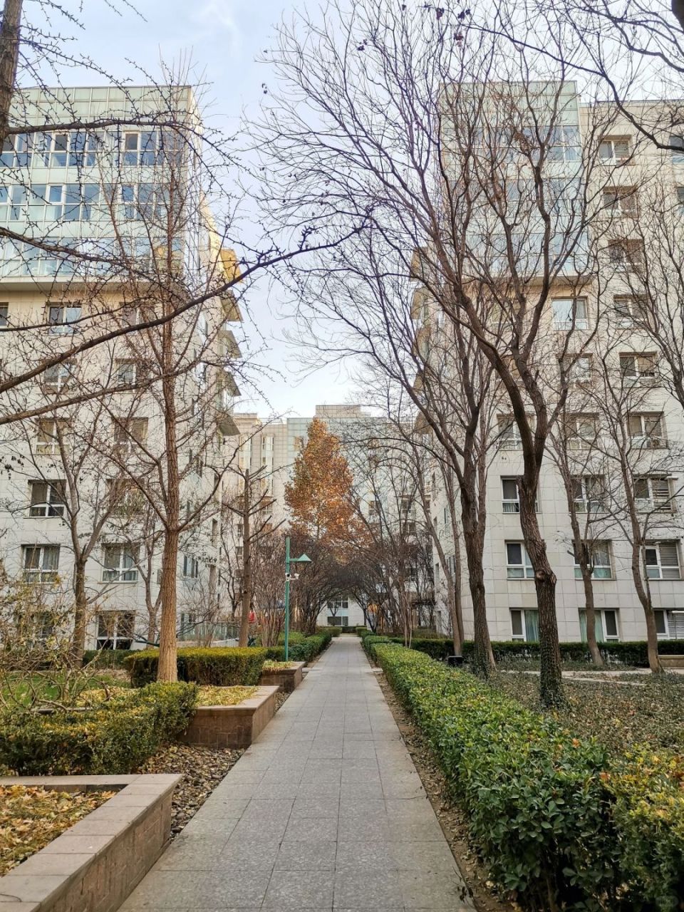 嘻嘻,今天跟姐姐一起去阳光上东看房,真的惊呆啦,这里真的有明星在