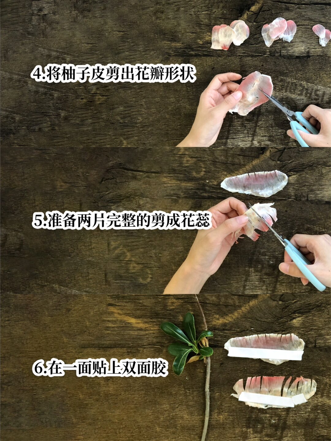 柚子皮造型制作方法图片