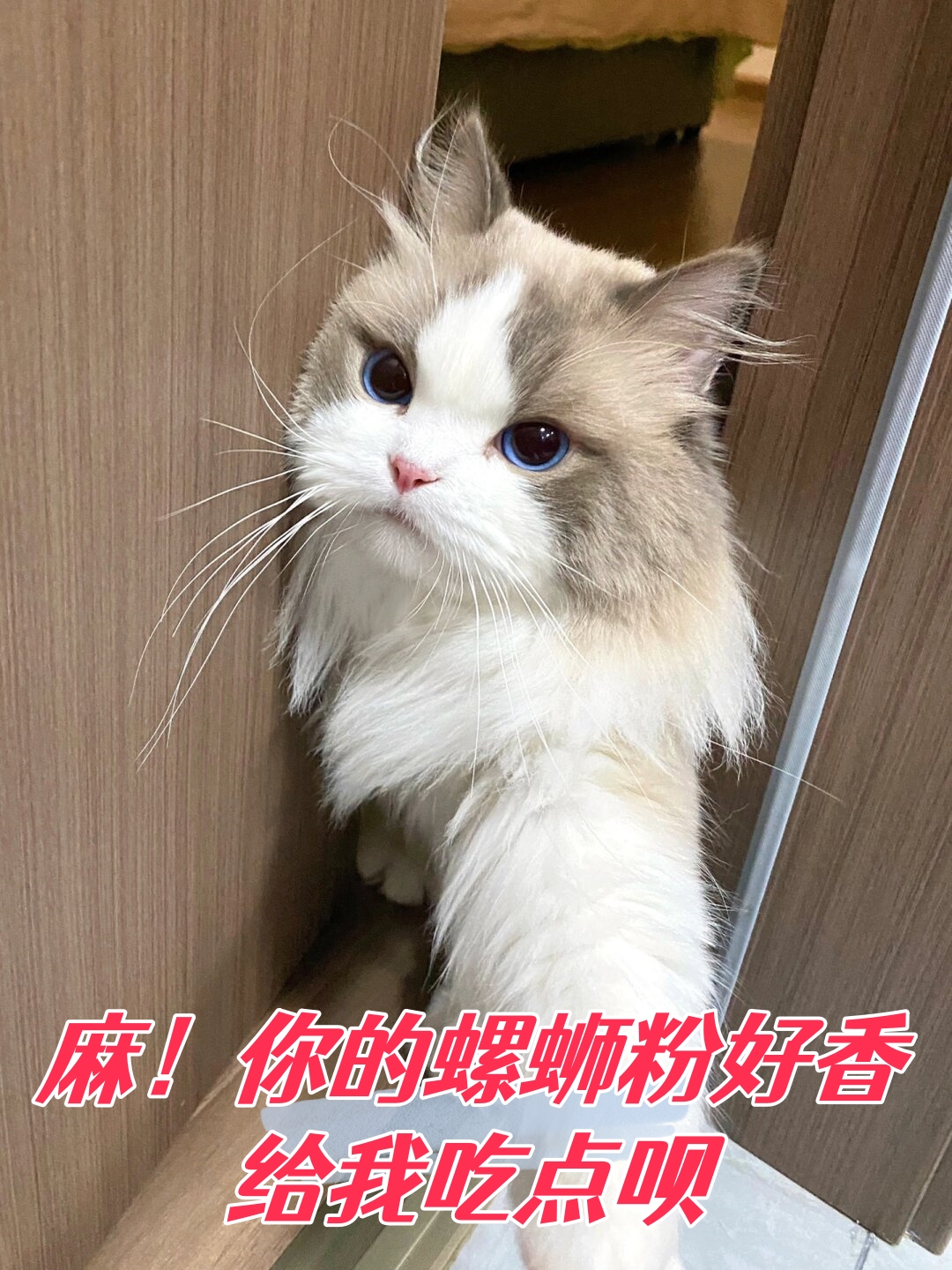(奶米一脸调皮地眨了眨眼,双手叉腰,做出一副"我早就看穿你了"的表情)