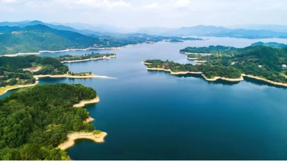 早春的花亭湖,美翻了