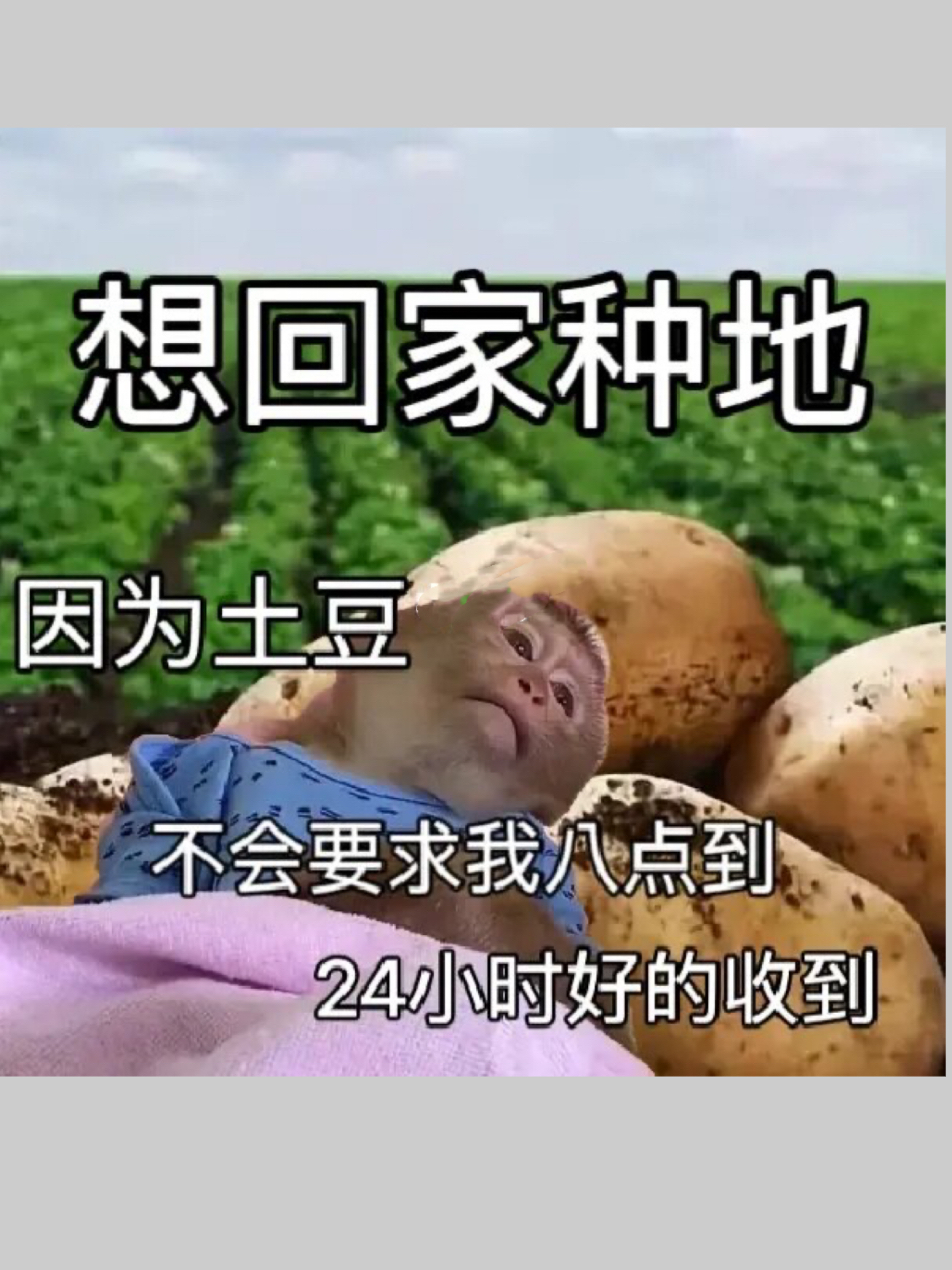 上班的我,真的好想回家种地!