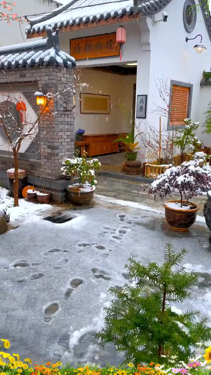 下了雪的小院,显得更有味道了!