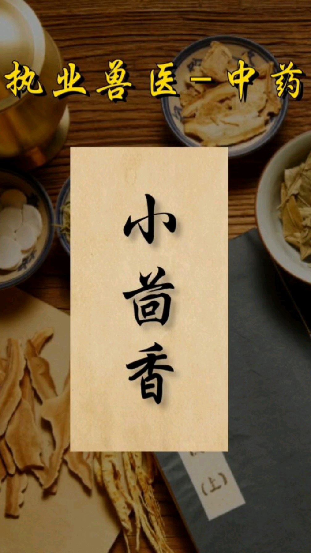 【兽小白】执业兽医师考试,中药–小茴香