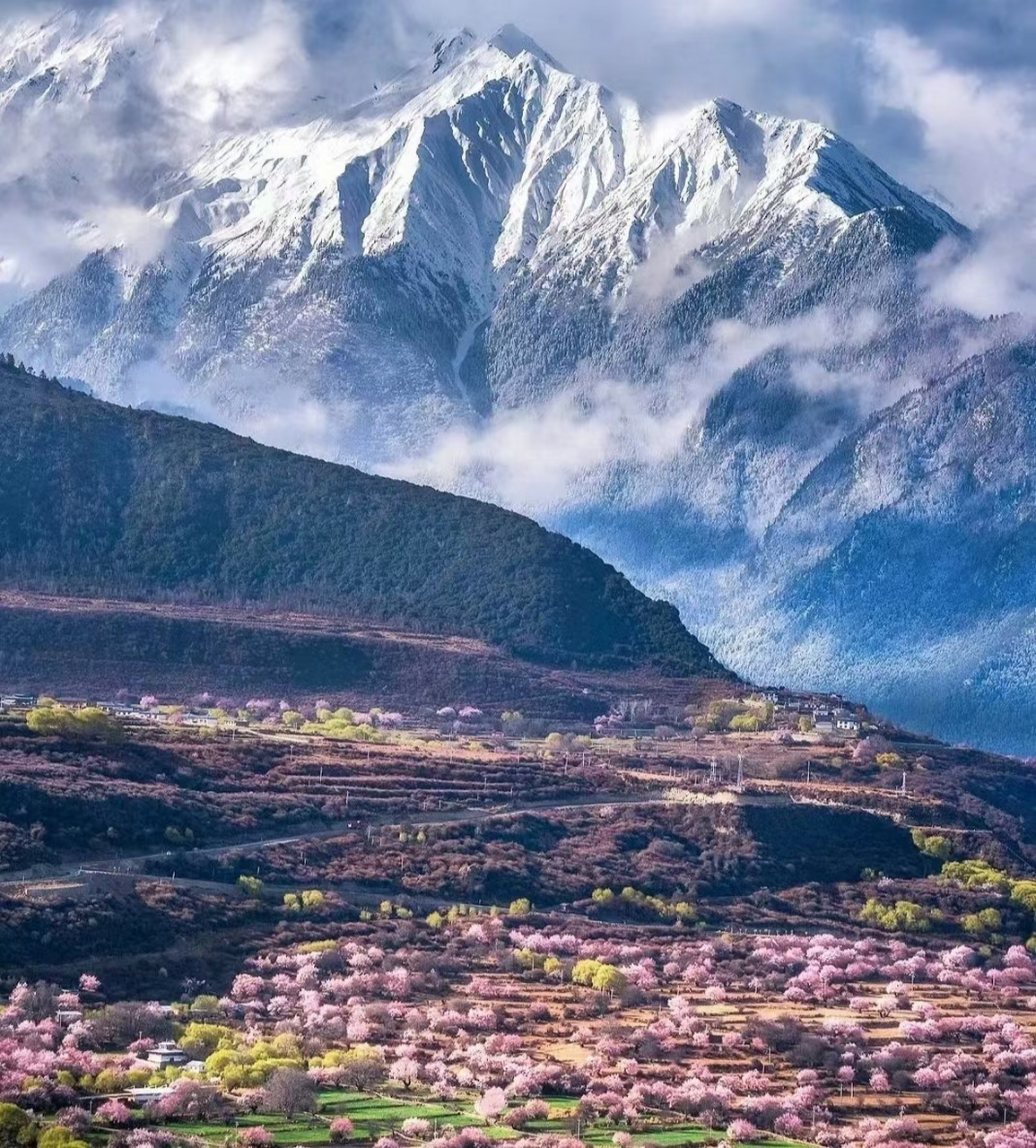 波密十大景点图片