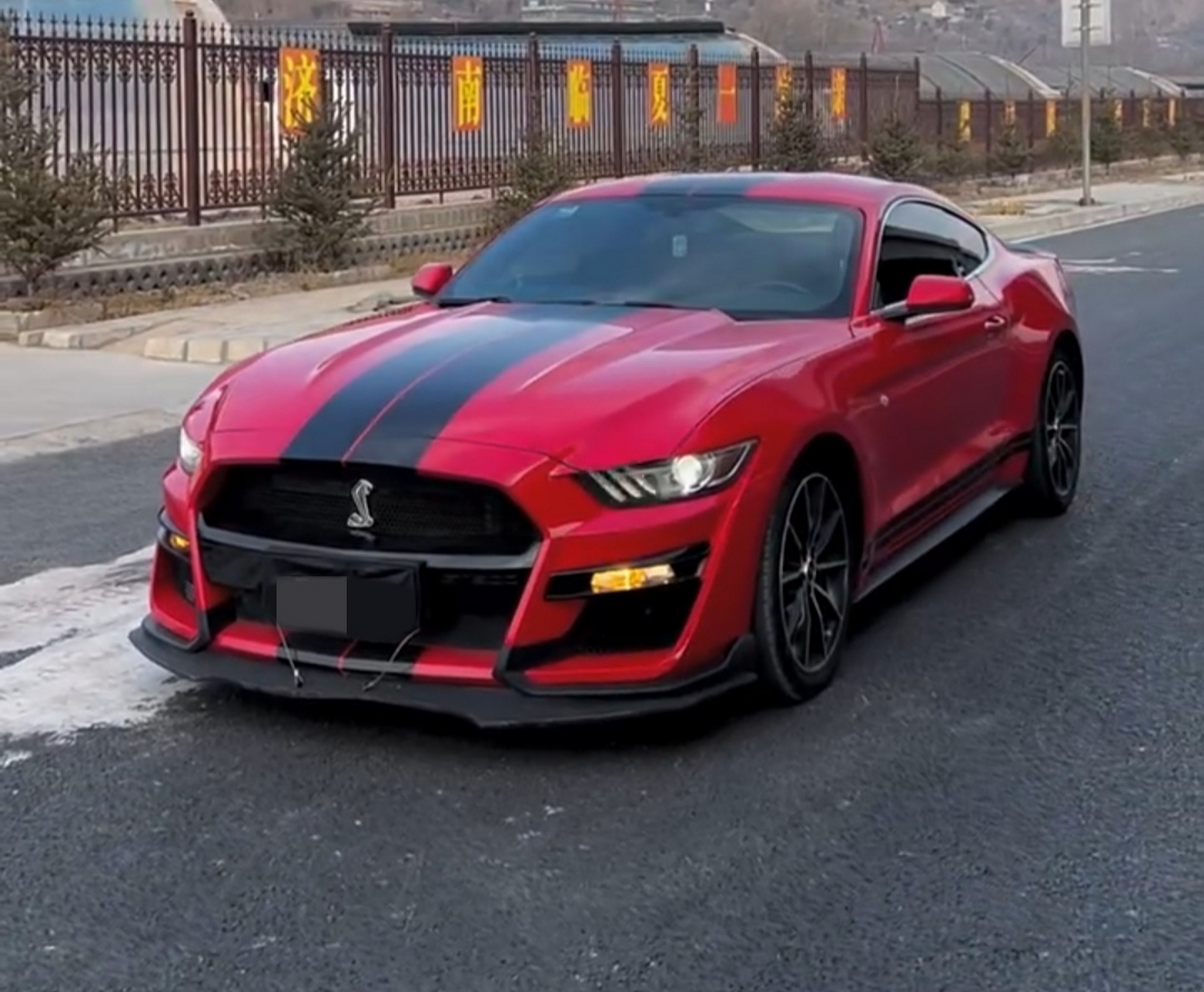 前车标是条蛇,方向盘车标是匹奔跑的马!