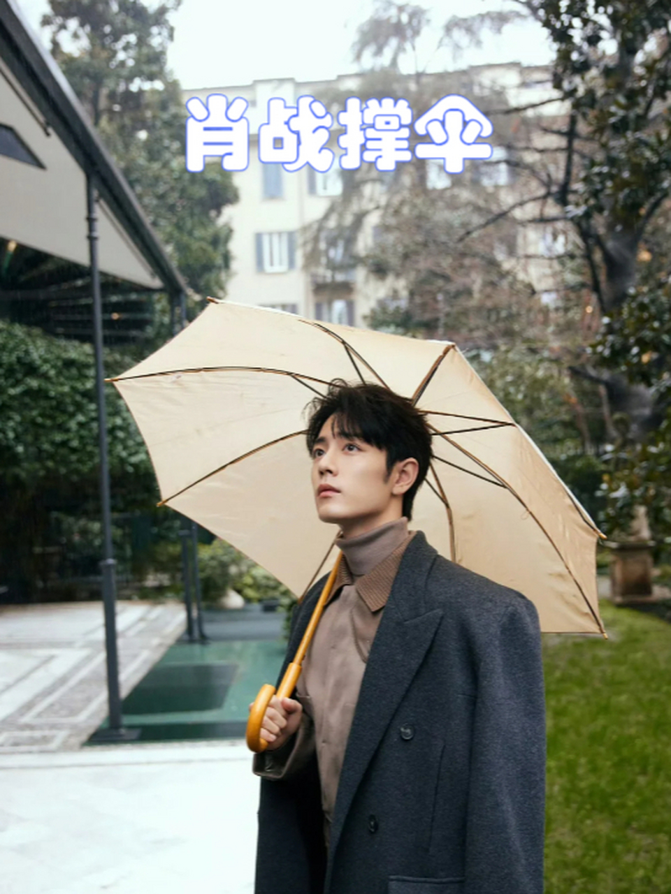 肖战,近日因一组撑伞的照片引发了网友们的热议.