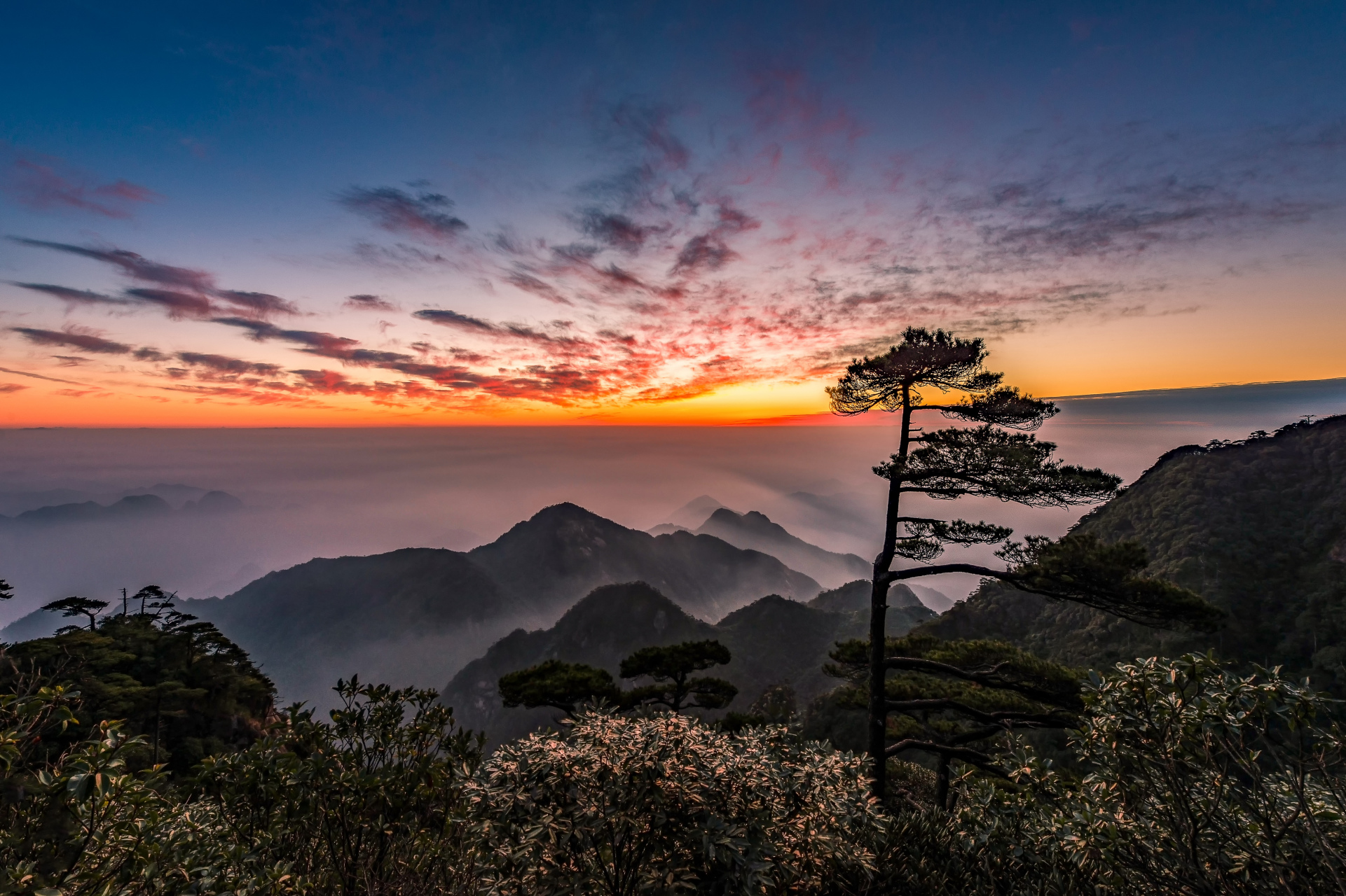 人生天地间,忽如远行客.