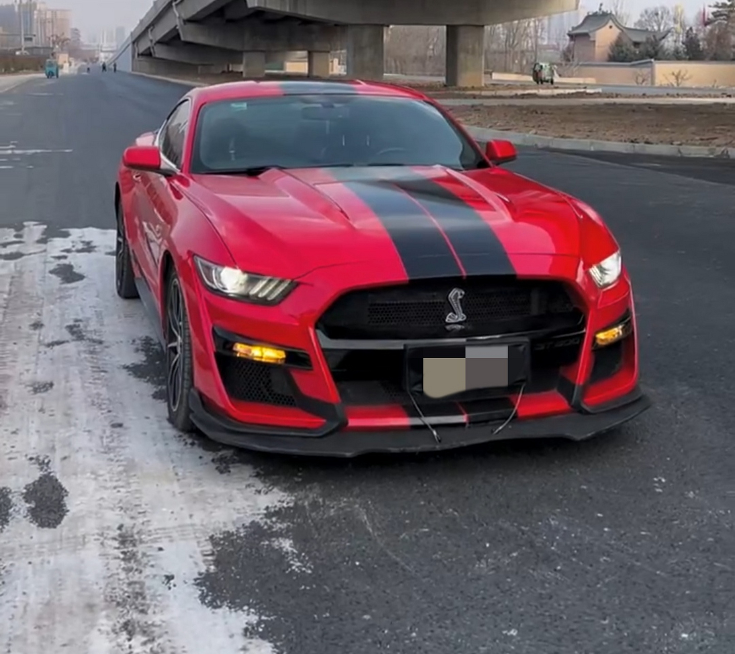 前车标是条蛇,方向盘车标是匹奔跑的马!