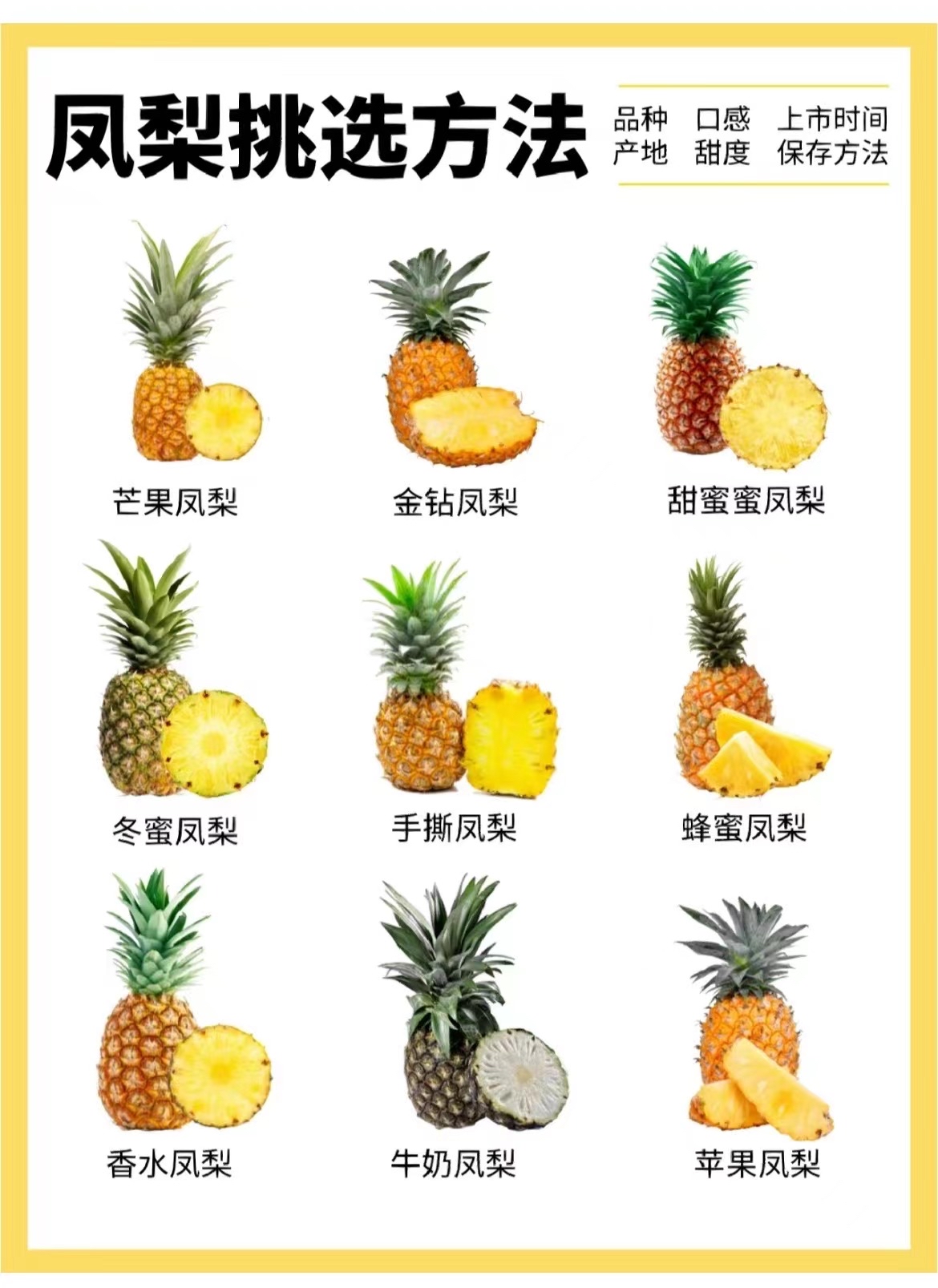 凤梨的品种及挑选方式