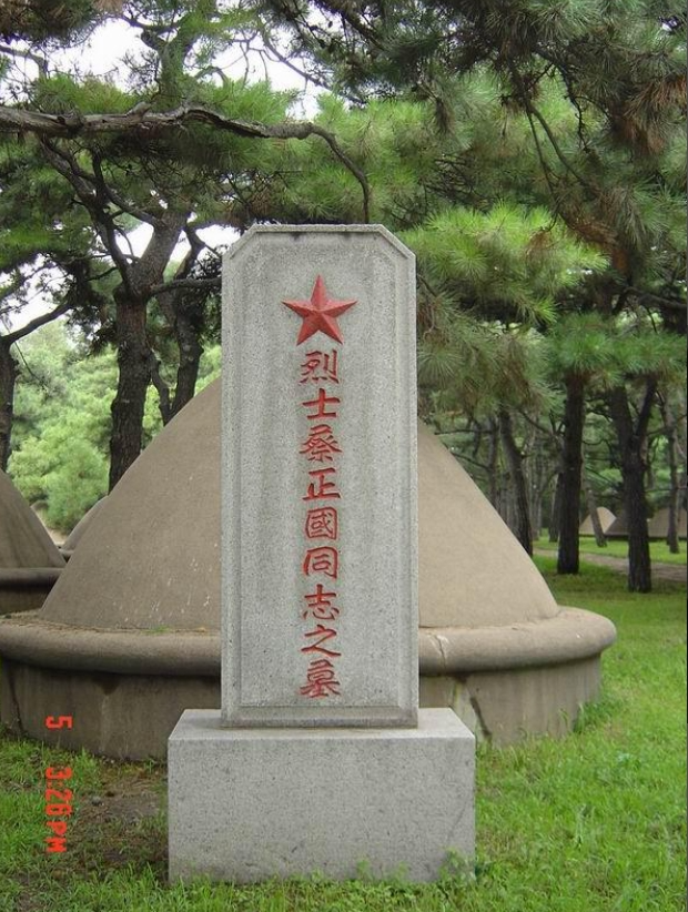 回顾小学生去烈士陵园扫墓和生父的墓碑擦肩而过18岁才知真相