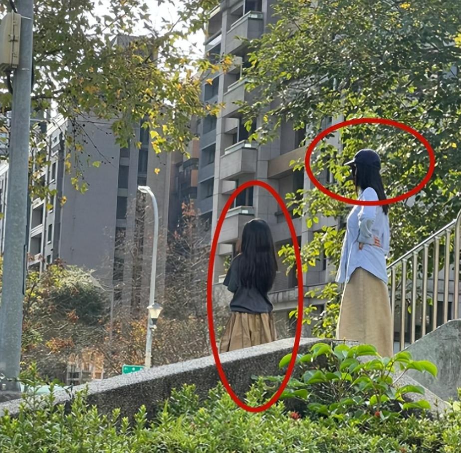 赵又廷高圆圆合体带娃全程细心呵护父爱满满5岁女儿打扮娇俏