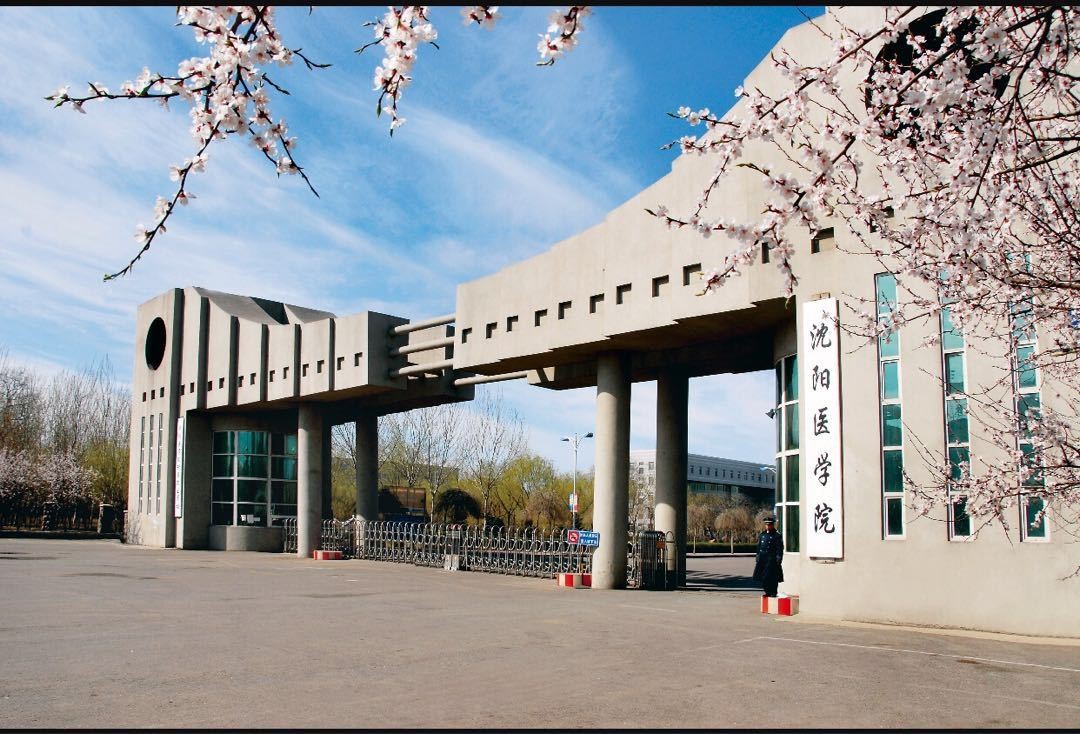 辽宁省内医学院校图片