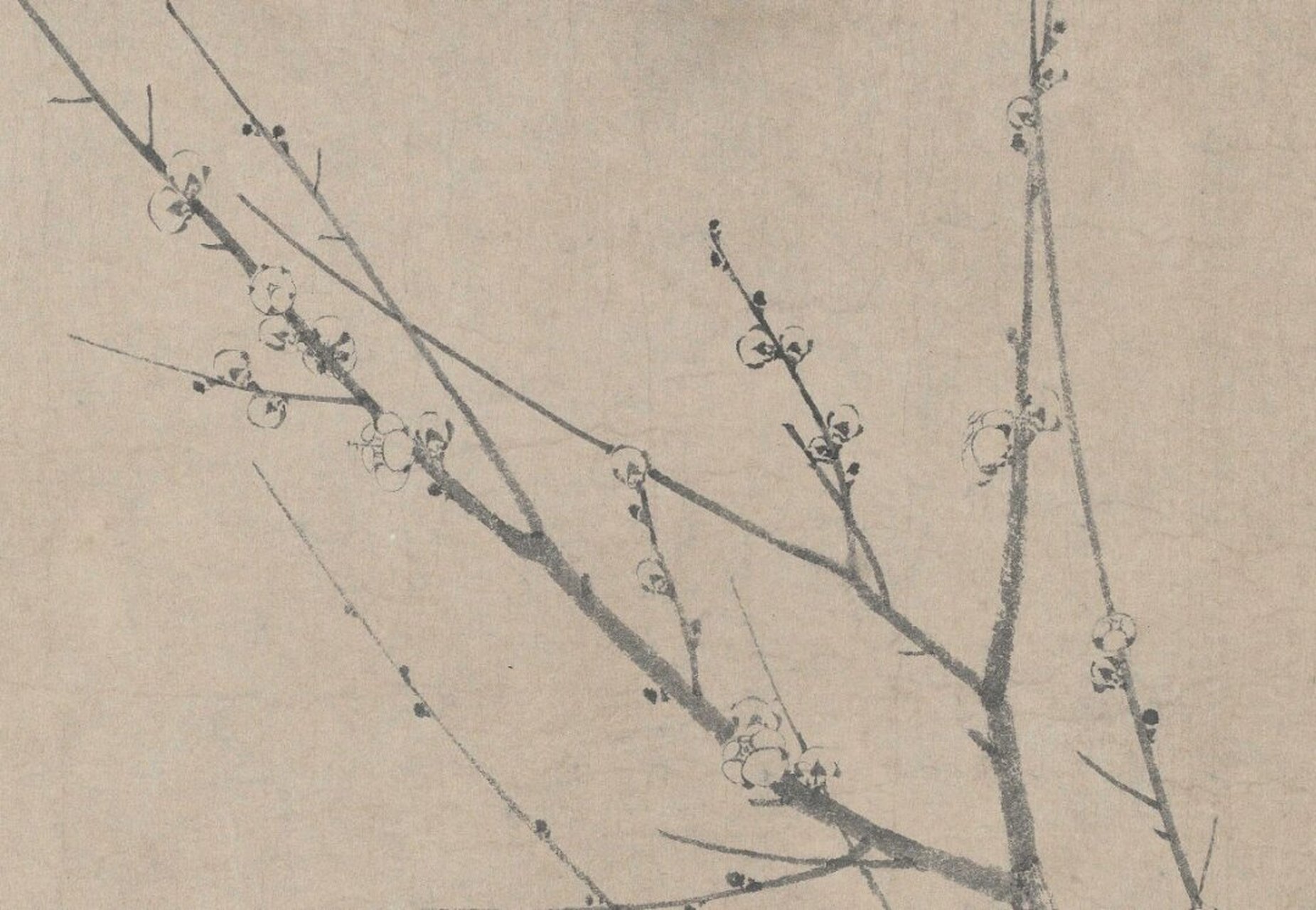 名画赏析 扬无咎《四梅图》  扬无咎,字补之,号逃禅老人,这位清江故乡