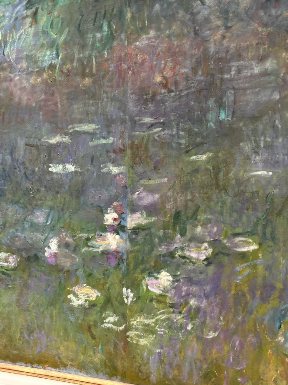 巴黎橘园美术馆|光影的印象派艺术  光影交织下的莫奈《睡莲》梦境