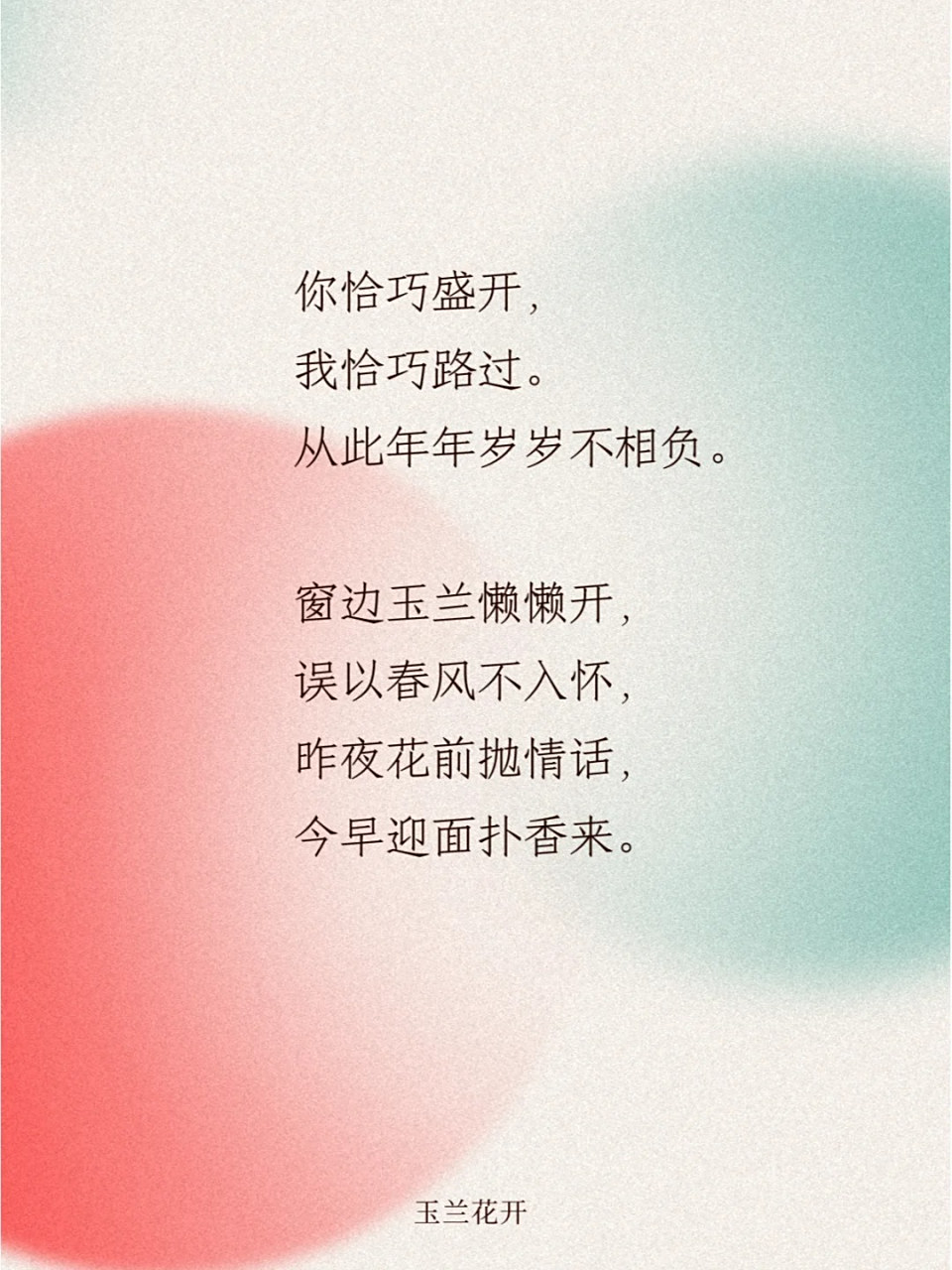 关于玉兰花的绝美文案  春天的玉兰花真的很美,而关于玉兰花的句子