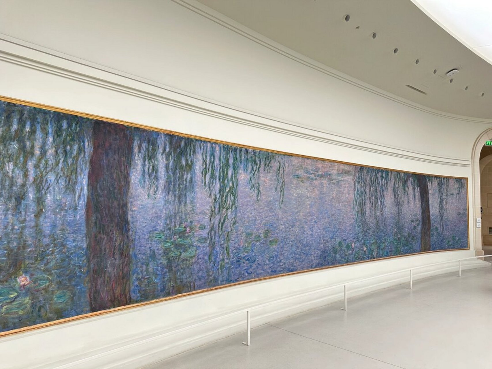 巴黎橘园美术馆|光影的印象派艺术  光影交织下的莫奈《睡莲》梦境