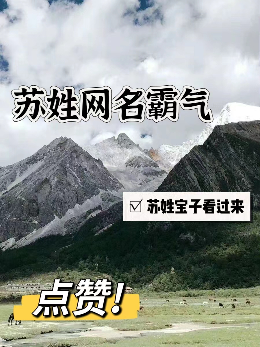 苏姓网名霸气