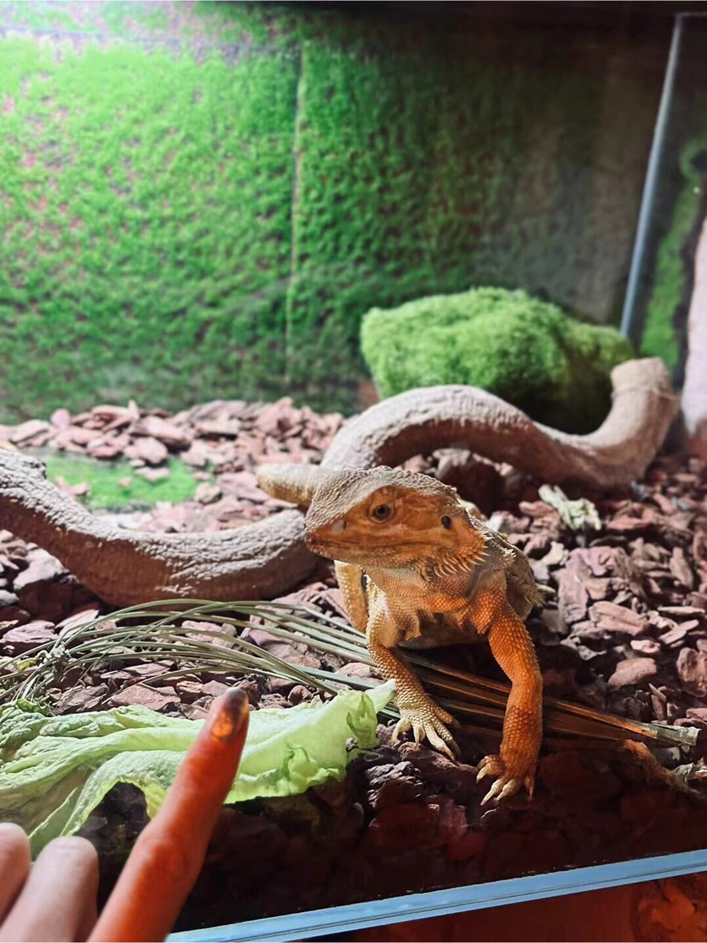 把爱好和事业结合,真的是一件超级幸福的事情!