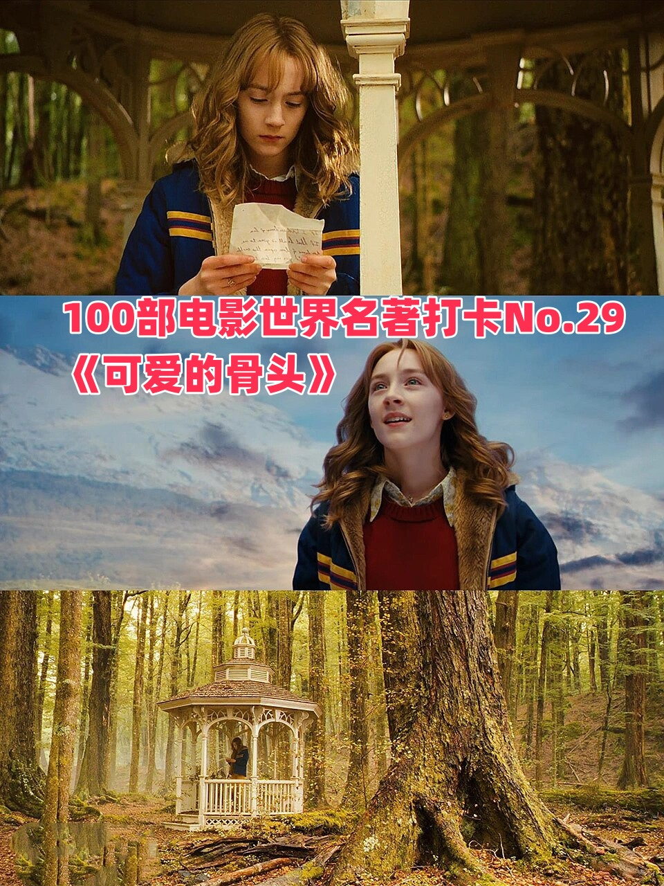 29《可爱的骨头》  🥂《可爱的骨头》2009🇺🇸🇬🇧(🥝