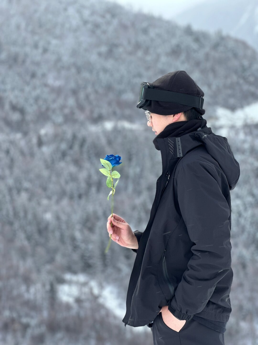 玫瑰不是本来就在那,山在等你来种下属于你的那朵玫瑰花