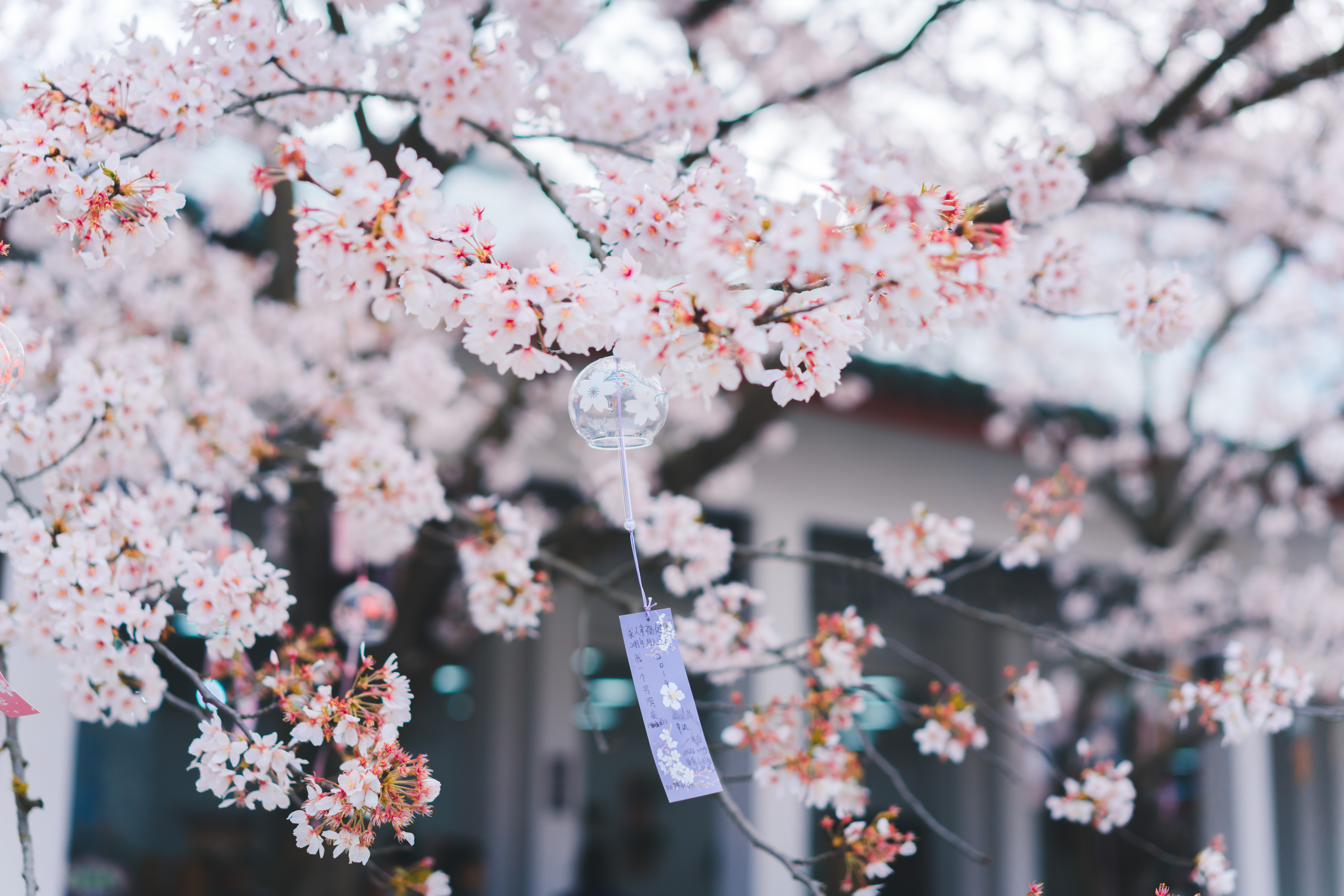 【备孕宝典】男科医生告诉你:精子.@王赫医生的动态