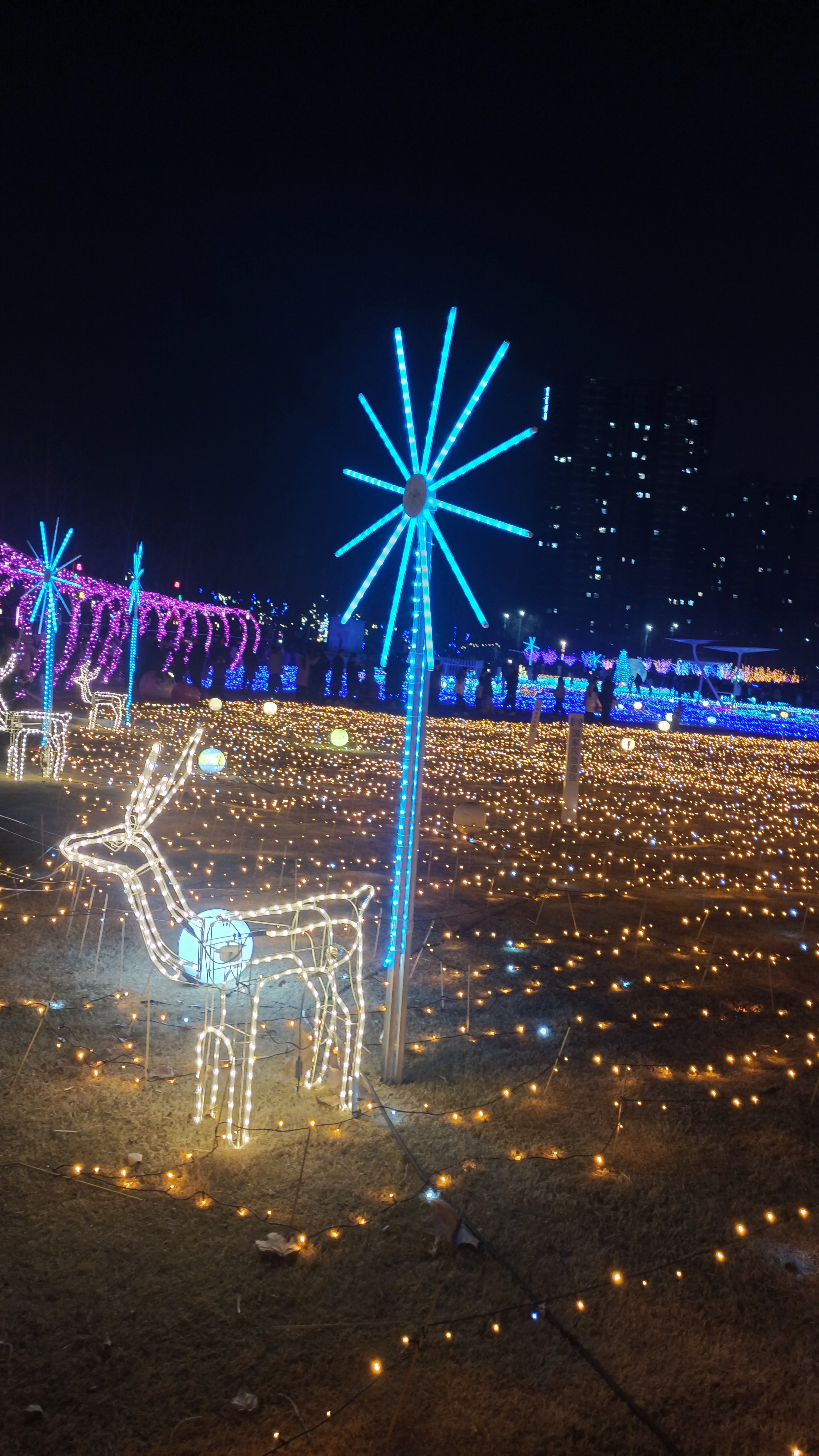 老年人的半路夫妻大多也成了快餐