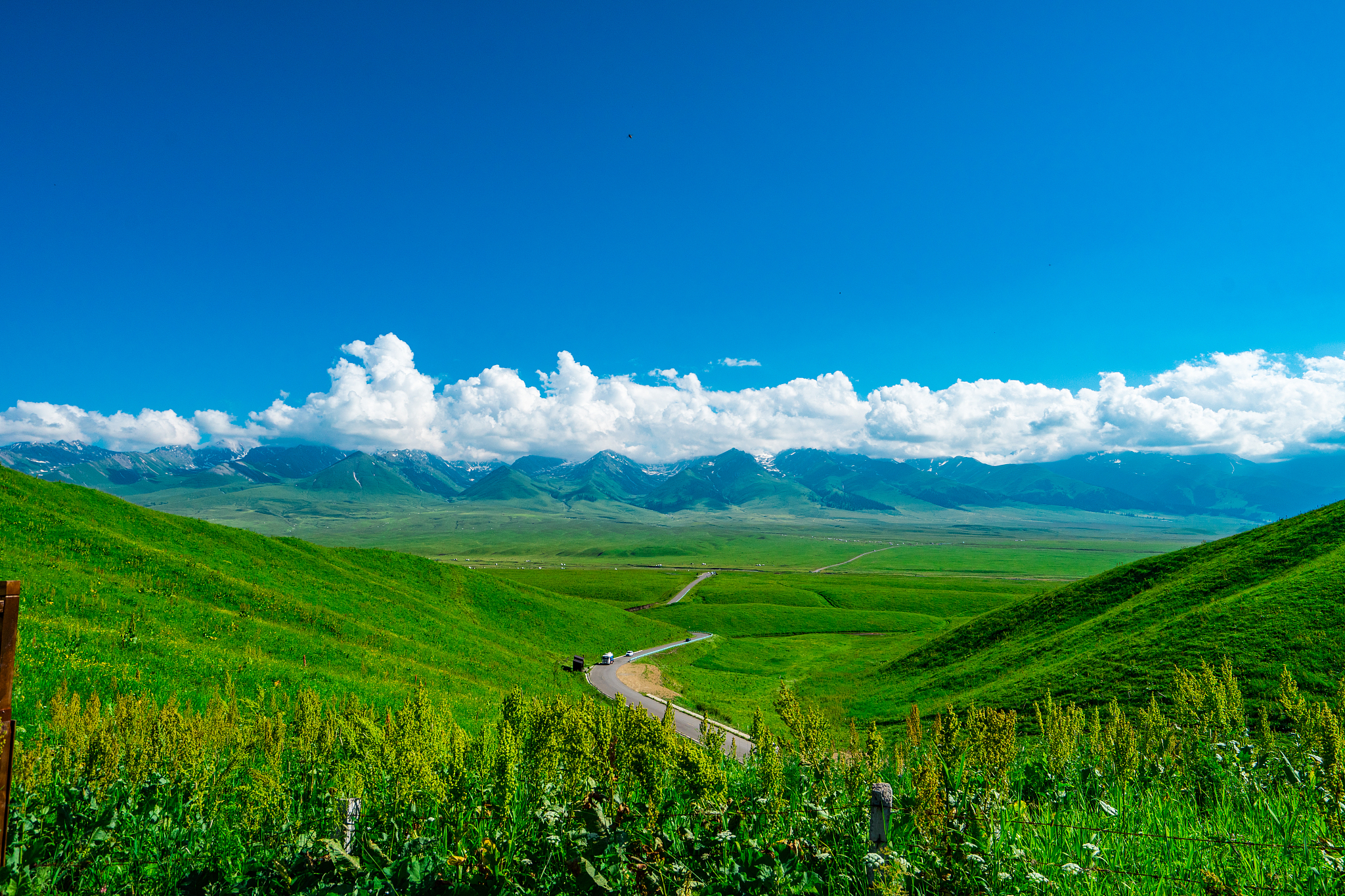 赞美新疆风景图片