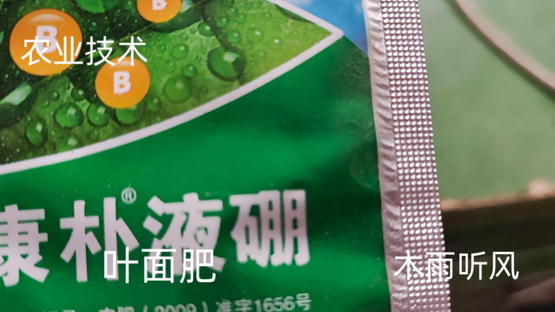 喷施叶面肥的注意事项及方法,喷洒对了才有好作用,你了解吗?